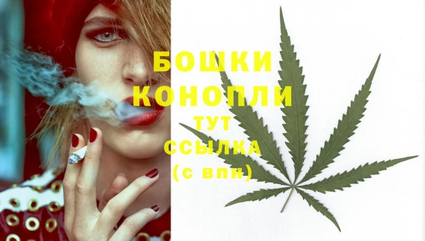 гашиш Арсеньев
