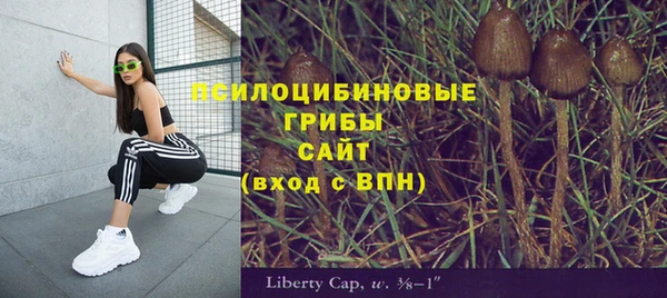 СК Аркадак